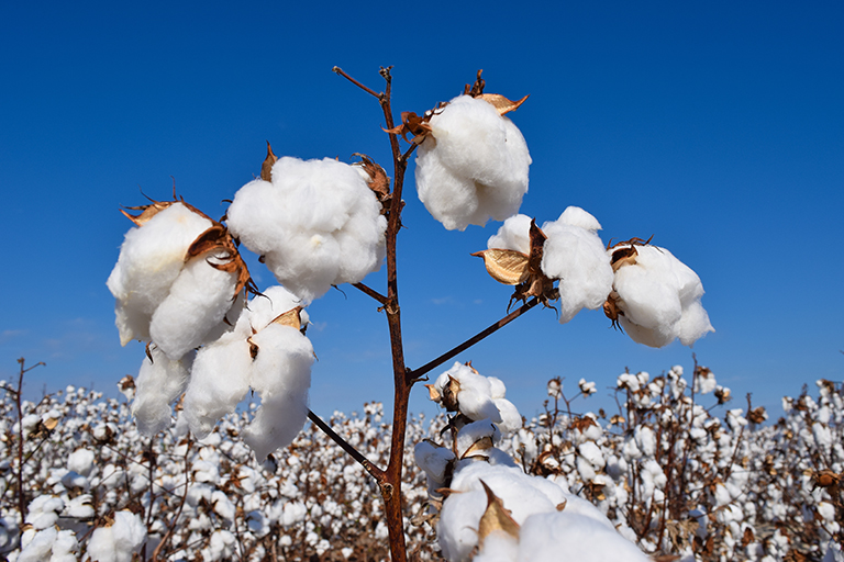 Worth County Courthouse