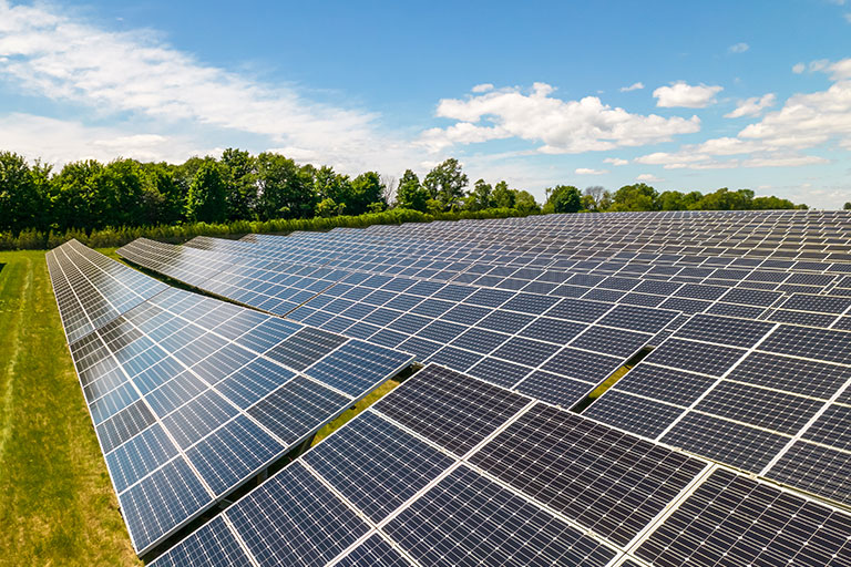 Solar Farm Management