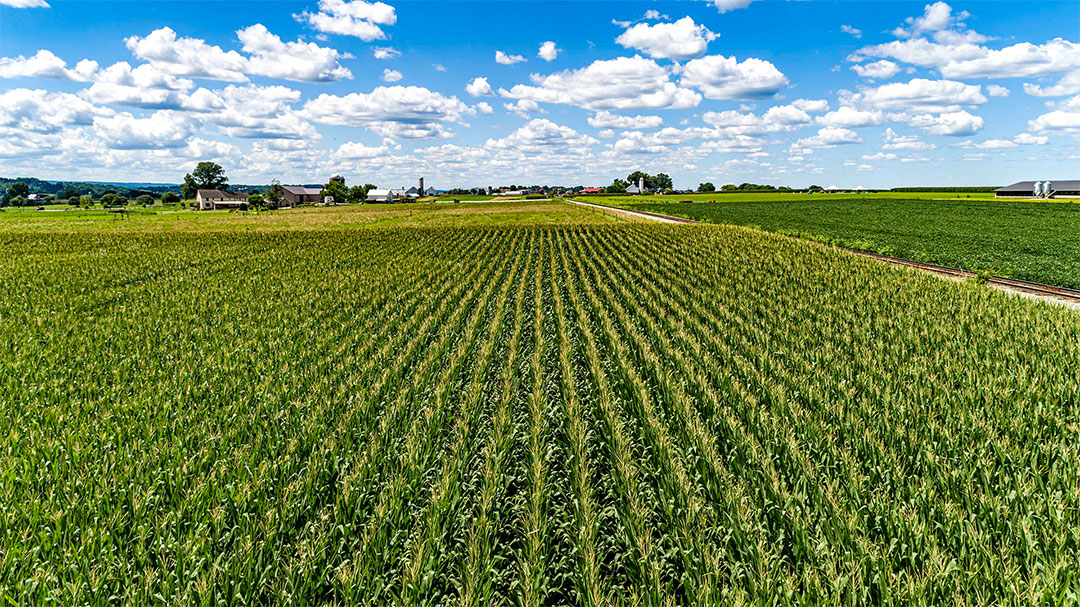 Ag drones in Sylvester