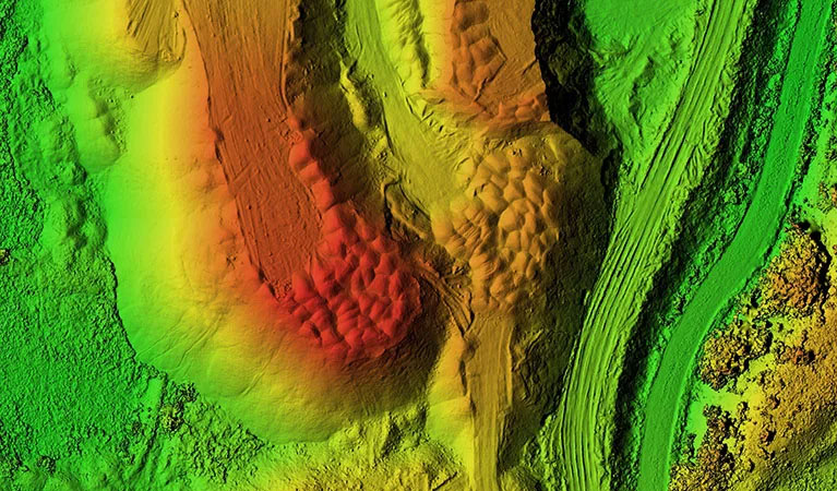 Survey mapping in Sylvester