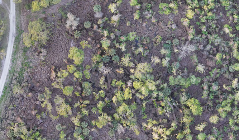 Environmental restoration